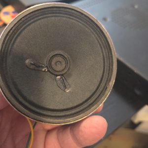 Whistler 900 Dual Channel Working Speaker